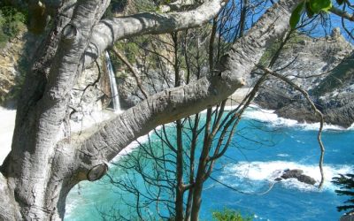 It’s not just the rain that spoils summer if you’re divorced.